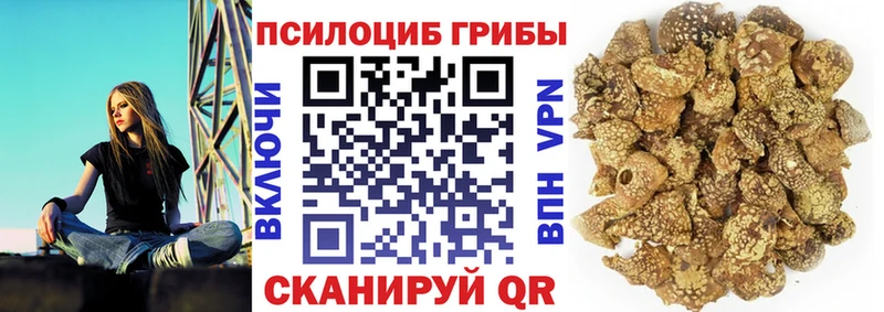Галлюциногенные грибы мицелий  Купить закладки  Беломорск 