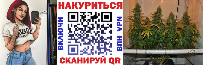 Купить где  Беломорск  Канабис THC 21% 